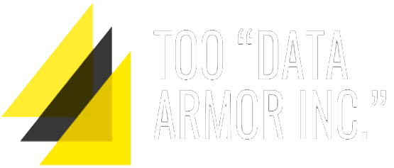 Data Armor INC